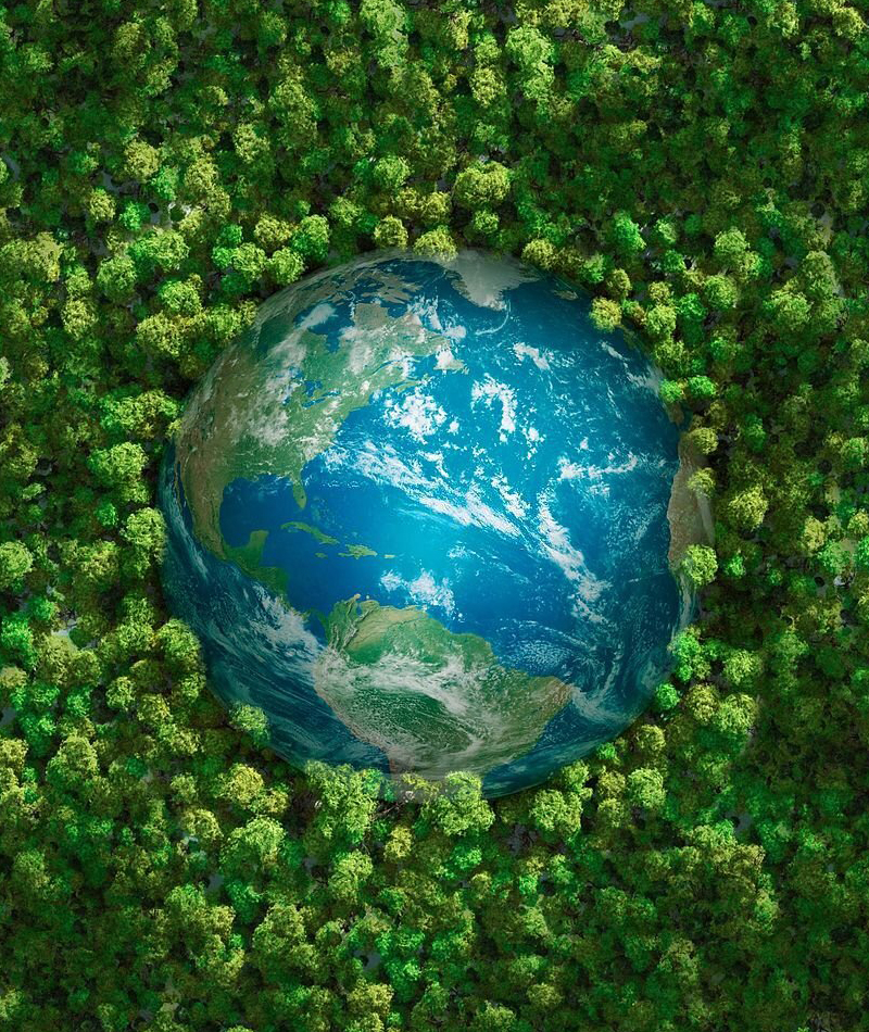 https://cob.stgdigitech.in/wp-content/uploads/2021/06/green-globe-oss.jpg