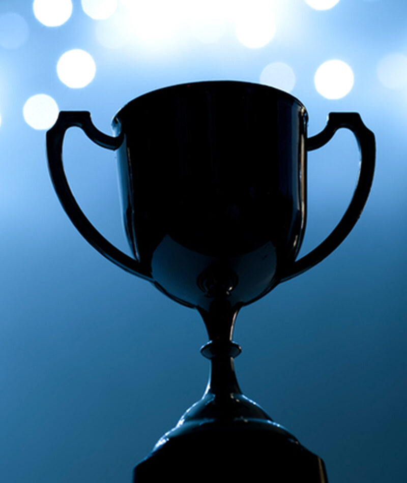 https://cob.stgdigitech.in/wp-content/uploads/2024/06/awards-aspect-ratio-800-950.jpg