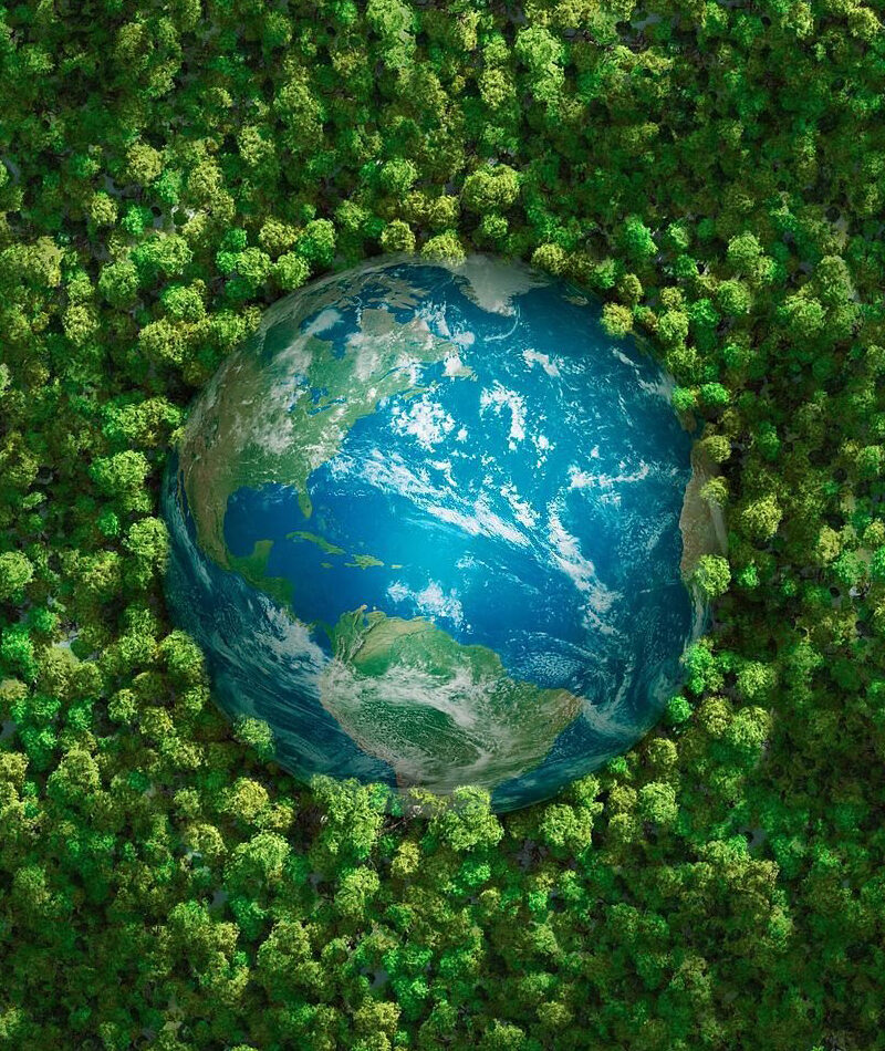 https://cob.stgdigitech.in/wp-content/uploads/2024/06/green-globe-oss-aspect-ratio-800-950.jpg