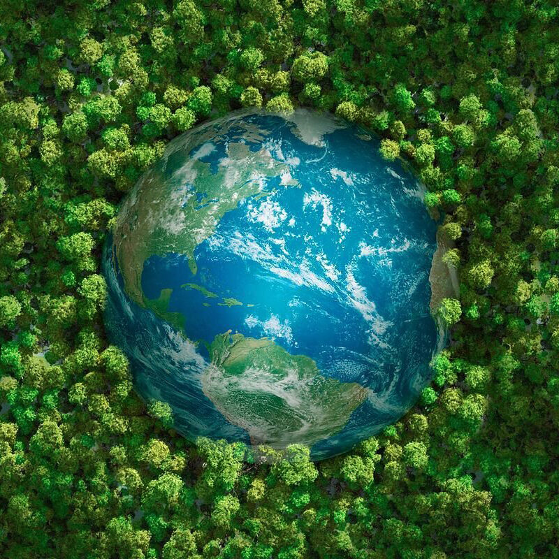 https://cob.stgdigitech.in/wp-content/uploads/2025/01/green-globe-oss-aspect-ratio-800-800.jpg